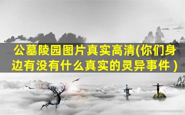 公墓陵园图片真实高清(你们身边有没有什么真实的灵异事件 )